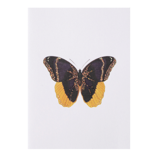 Butterfly - Card